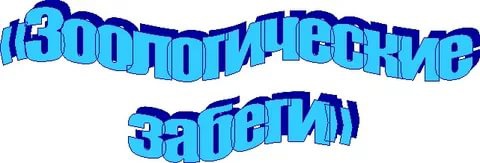 Зоологические забеги.